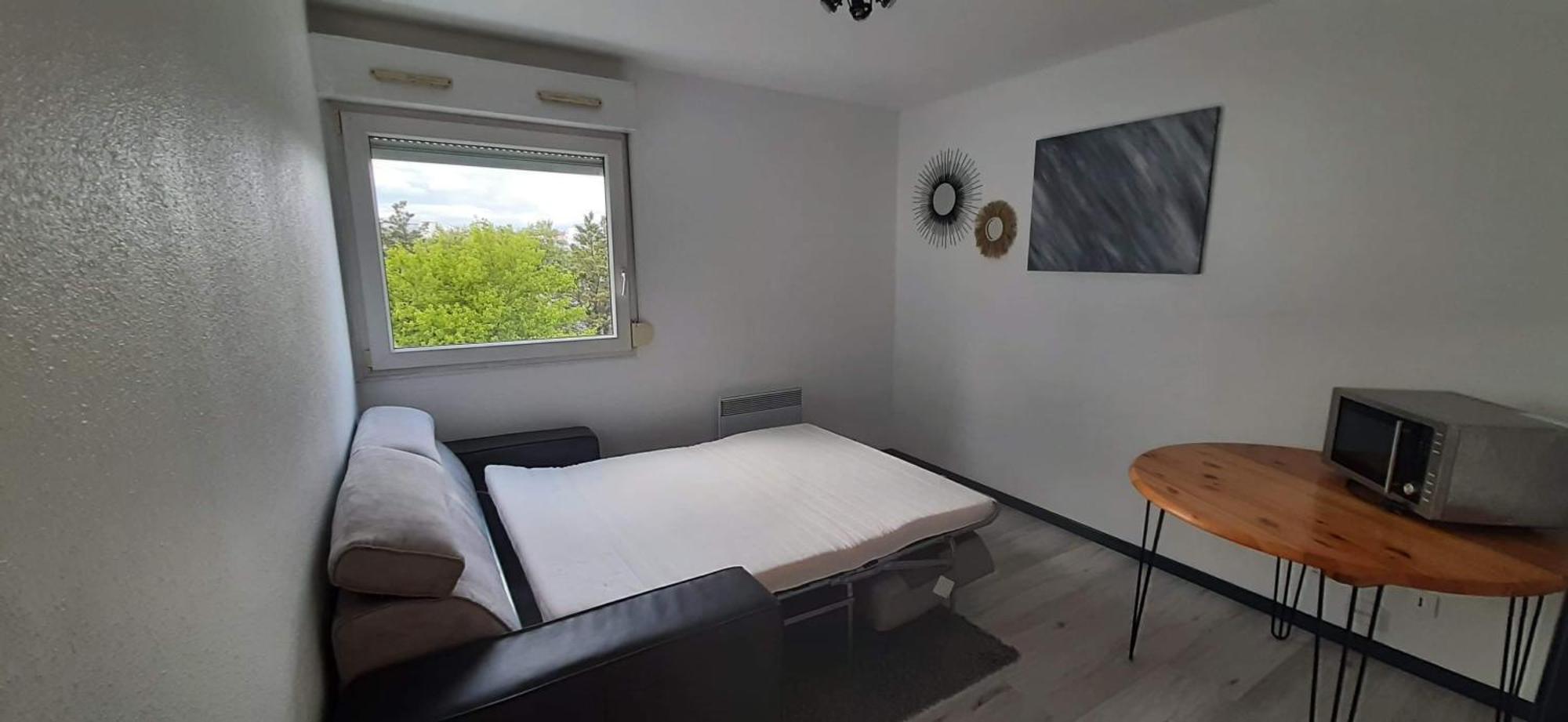 Studio Cosy Lyon公寓 外观 照片
